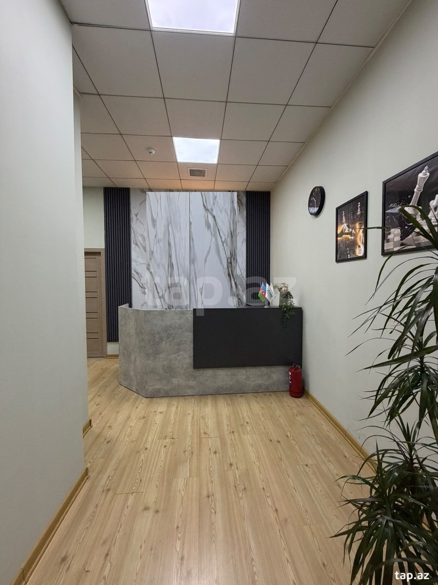 Ofis icarəyə verilir, 28 may m. (2)