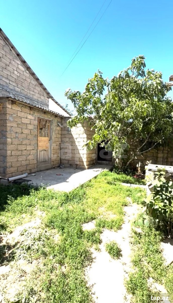 Həyət evi kirayə verilir, Savalan qəs.