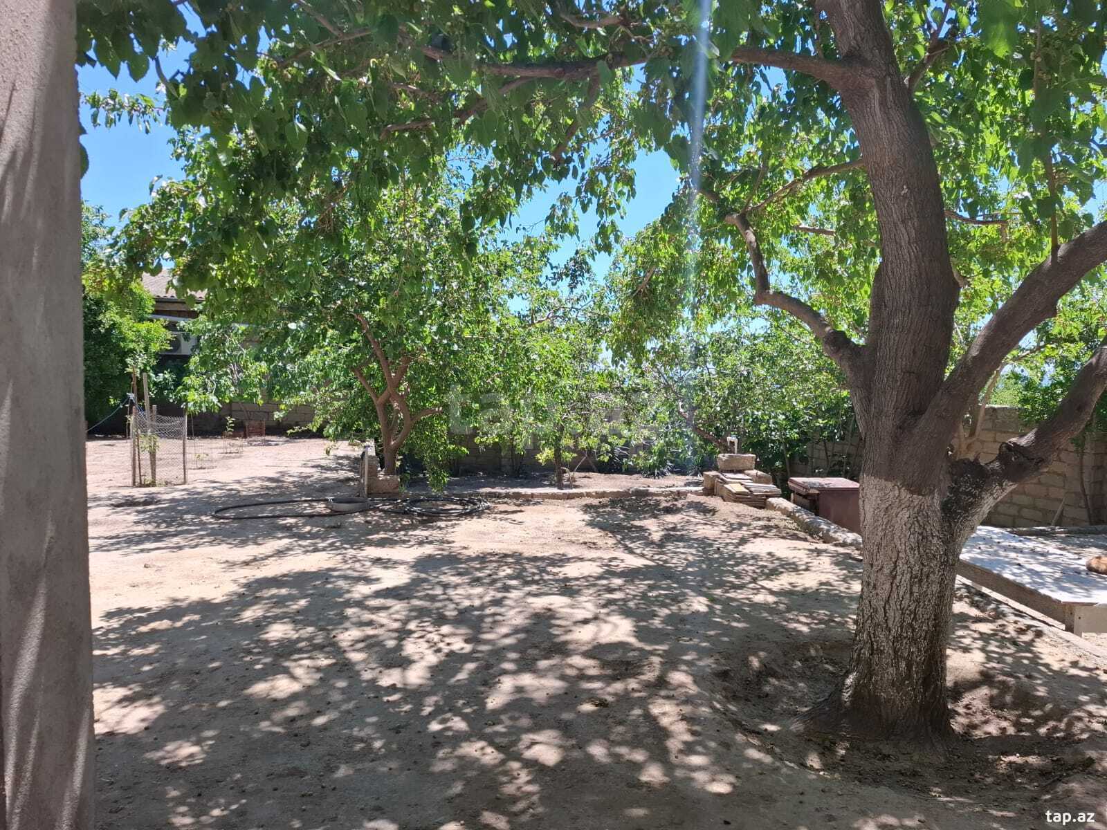 Həyət evi kirayə verilir, Xətai r.