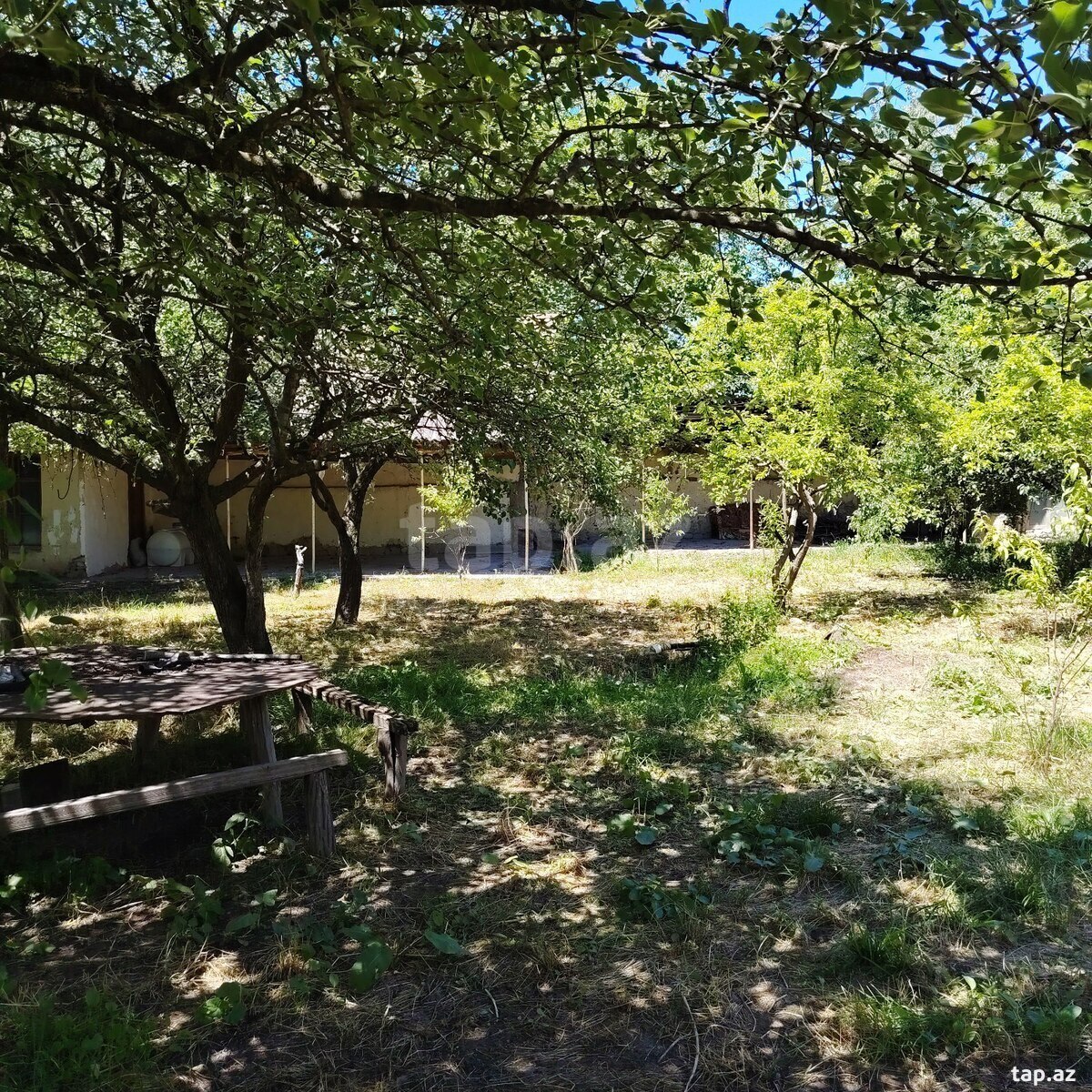 Həyət evi, Şəki ş.