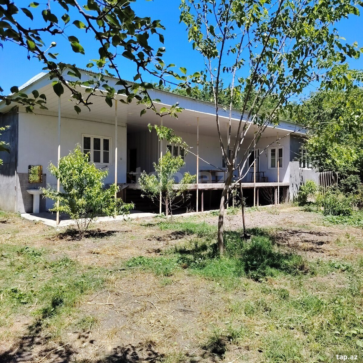 Həyət evi, Şəki ş.