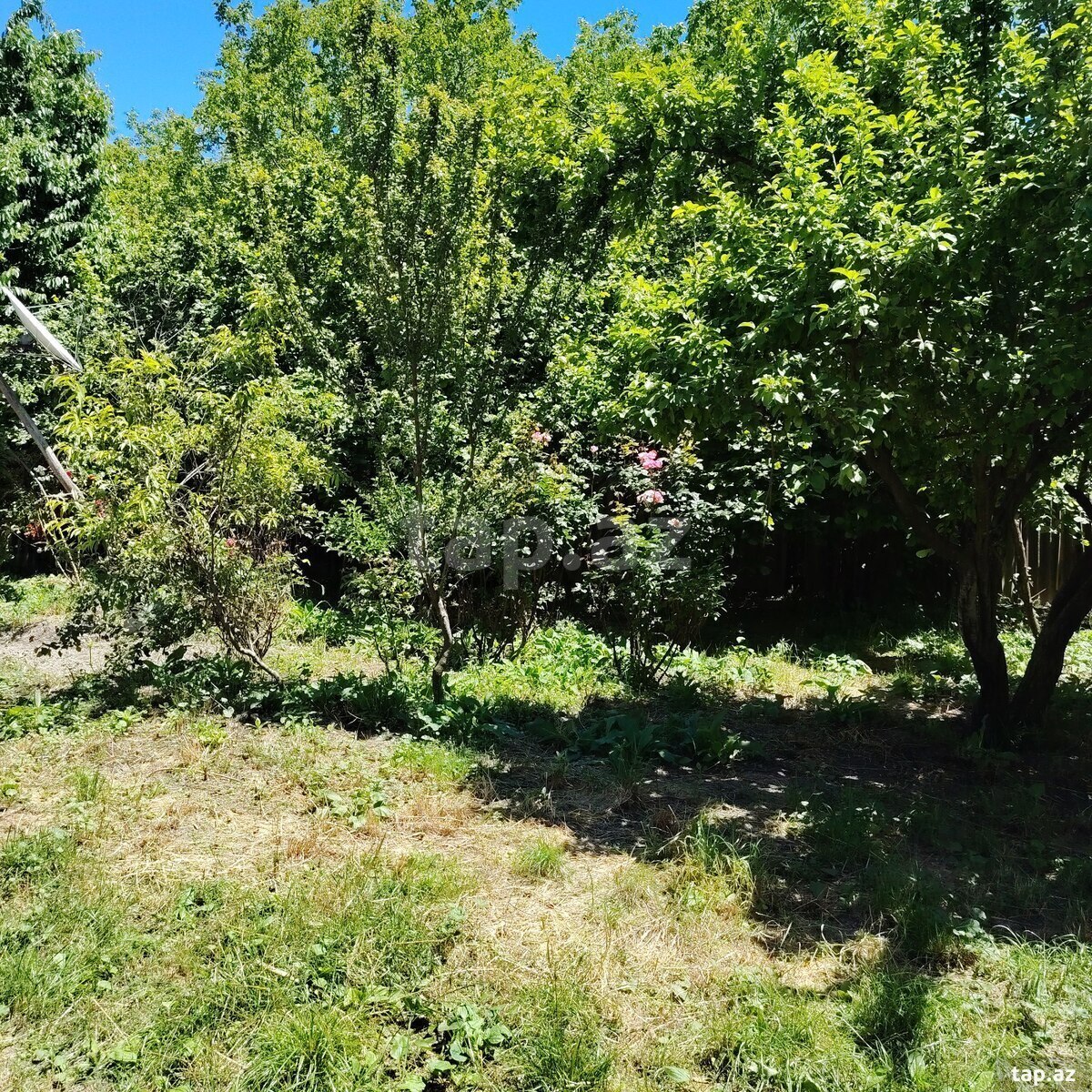 Həyət evi, Şəki ş.