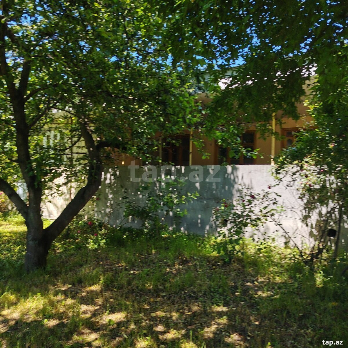 Həyət evi, Şəki ş. (3)
