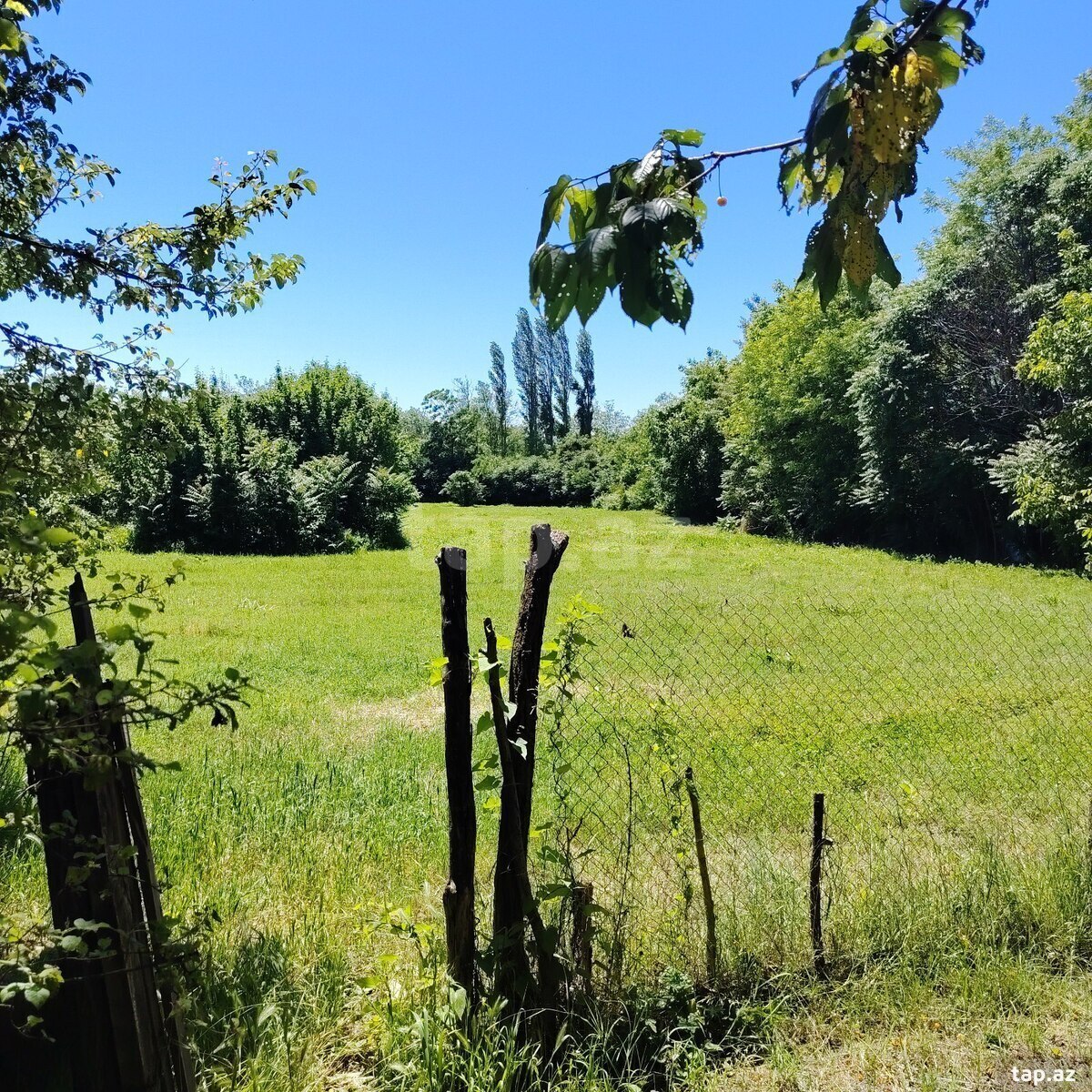 Həyət evi, Şəki ş. (14)