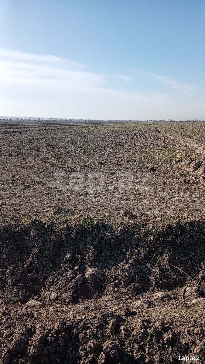 910 sot torpaq sahəsi, Hacıqabul r. (2)
