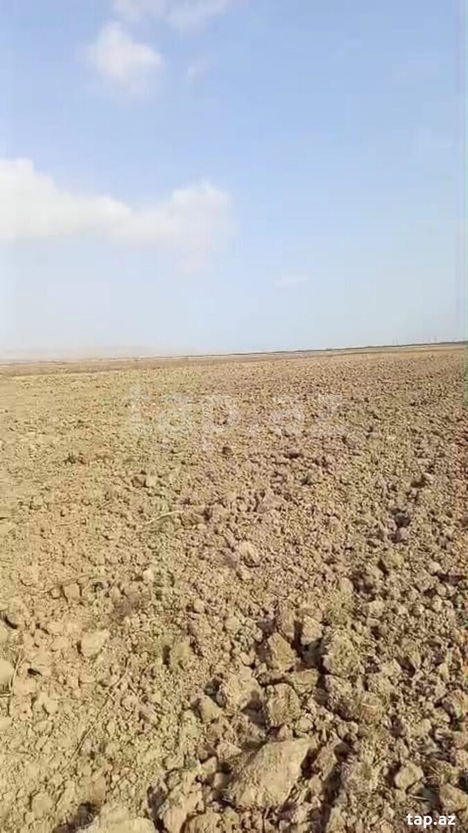 910 sot torpaq sahəsi, Hacıqabul r. (3)