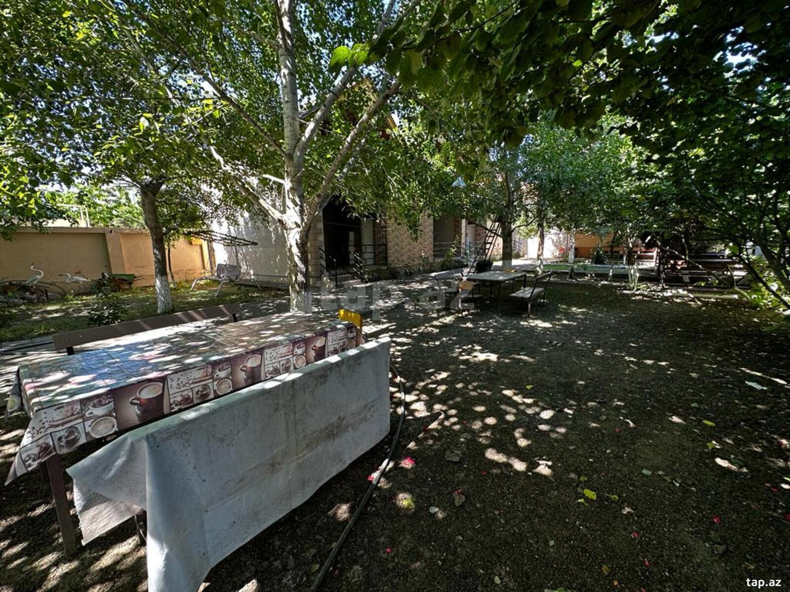 Bağ evi kirayə verilir, Nabran r. (4)
