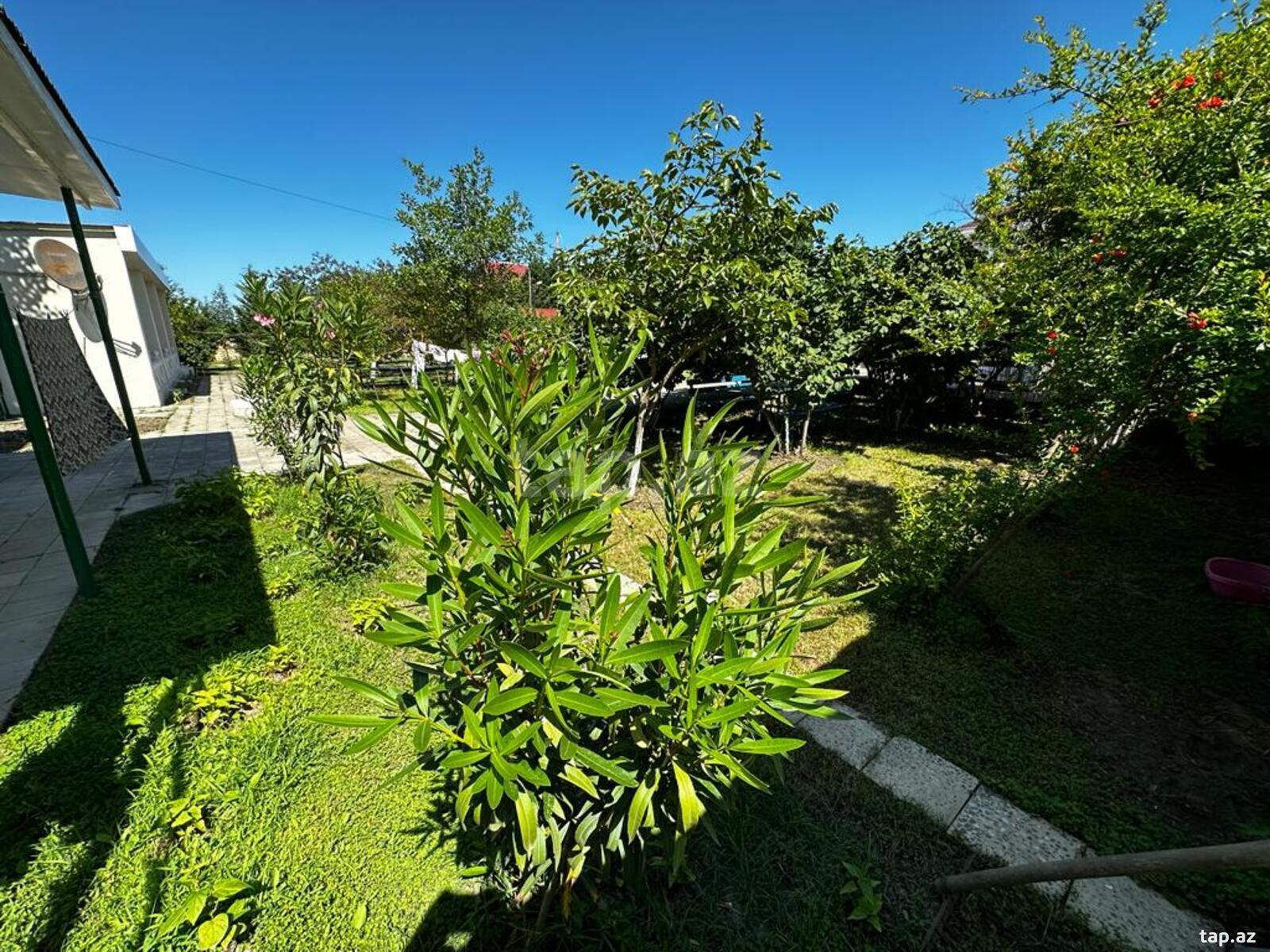 Bağ evi kirayə verilir, Nabran r. (25)