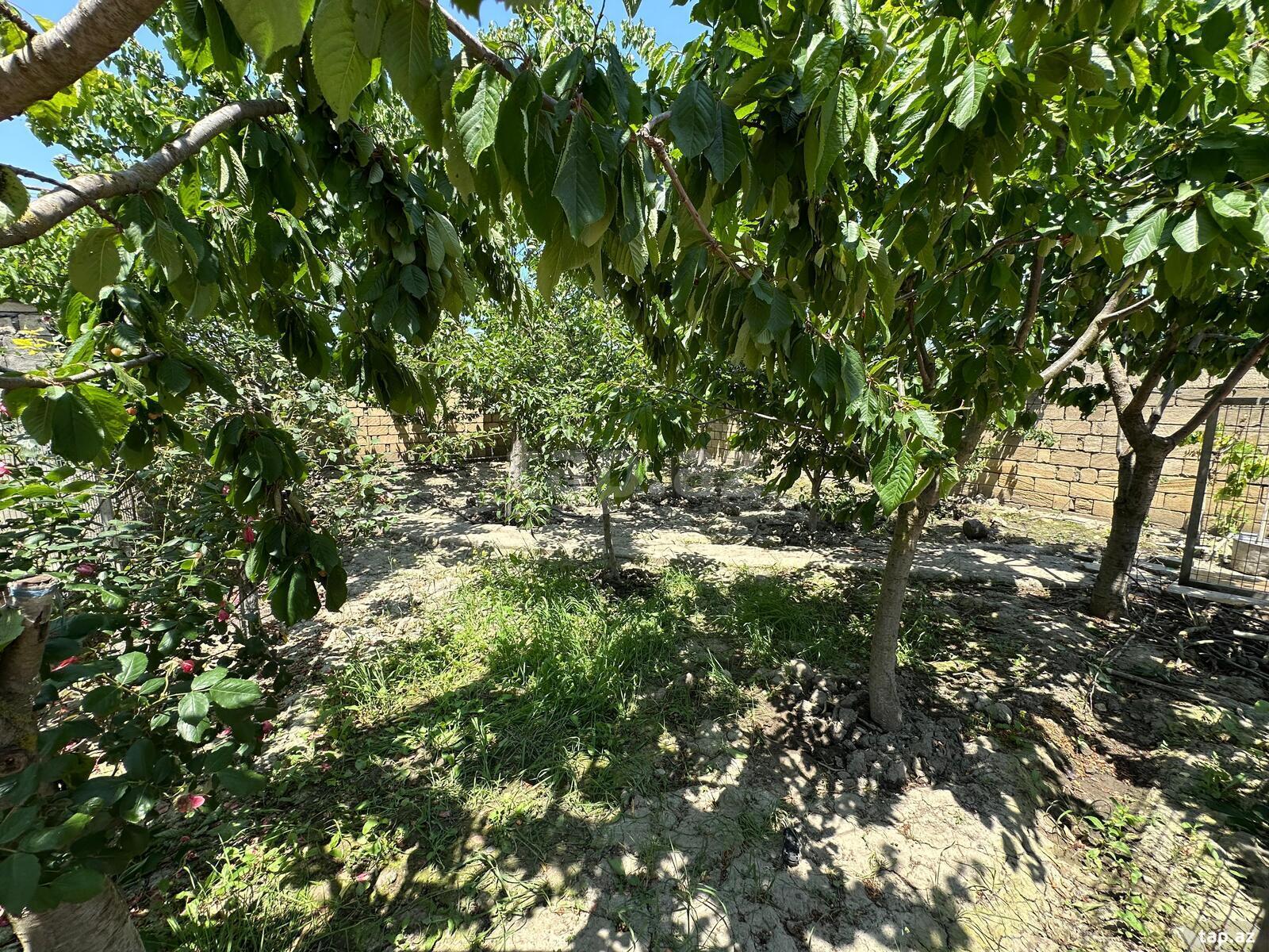 Bağ evi kirayə verilir, Nabran r. (23)