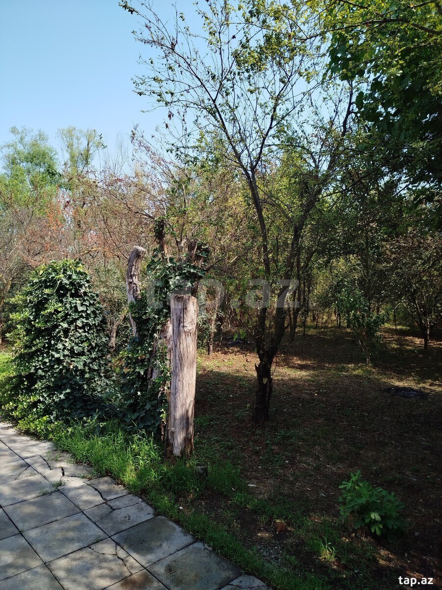 Bağ evi kirayə verilir, Lənkəran ş. (17)
