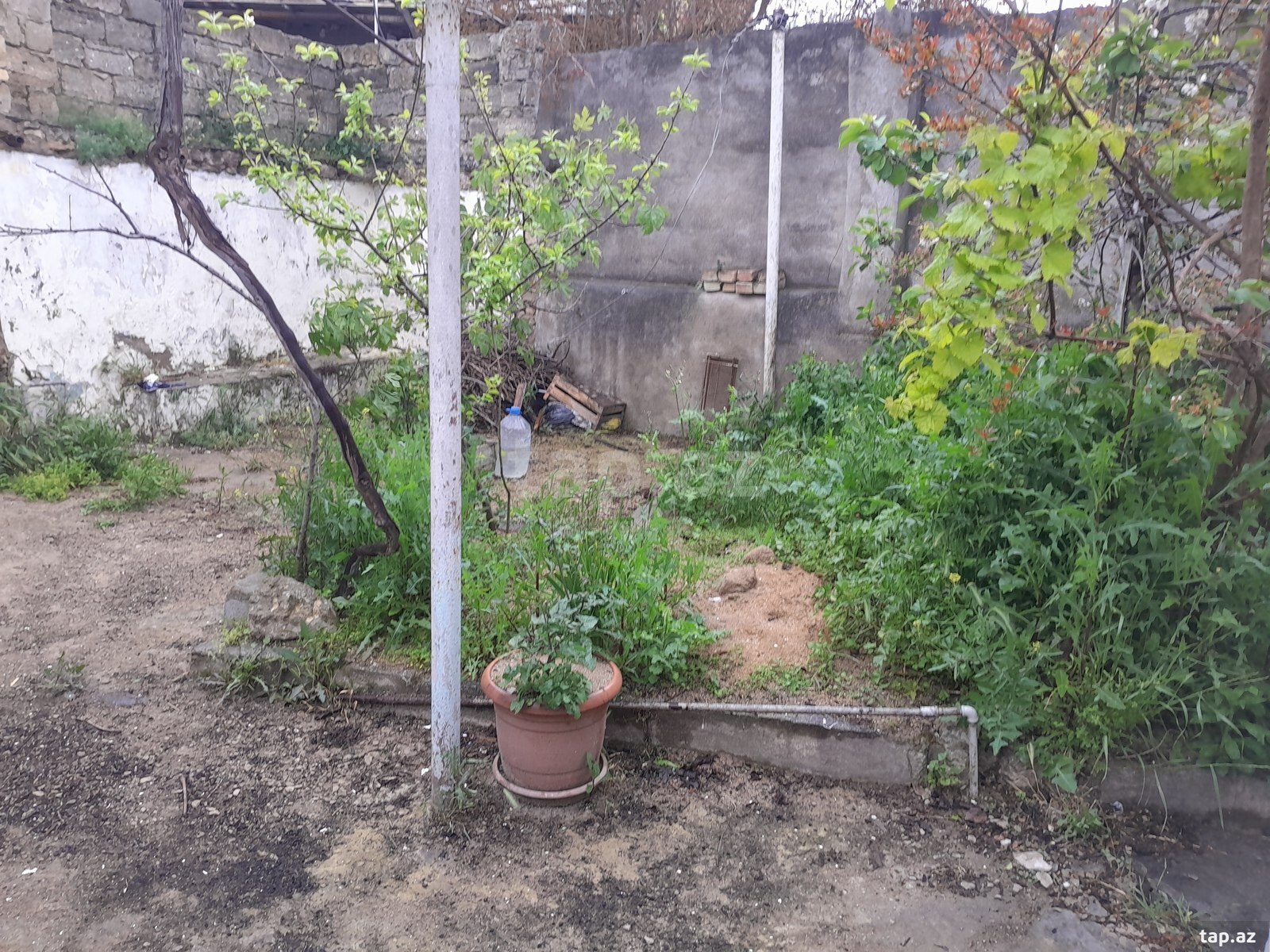 Həyət evi, Əmircan qəs. (6)