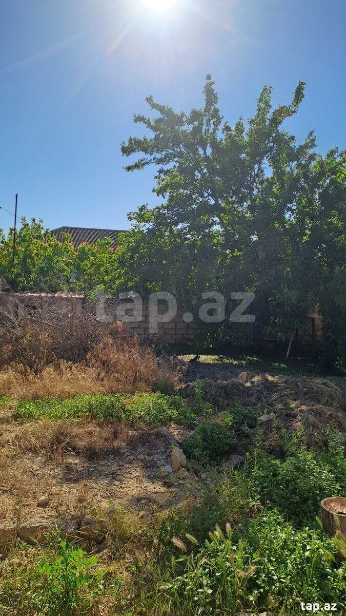 Bağ evi kirayə verilir, Buzovna qəs. (13)