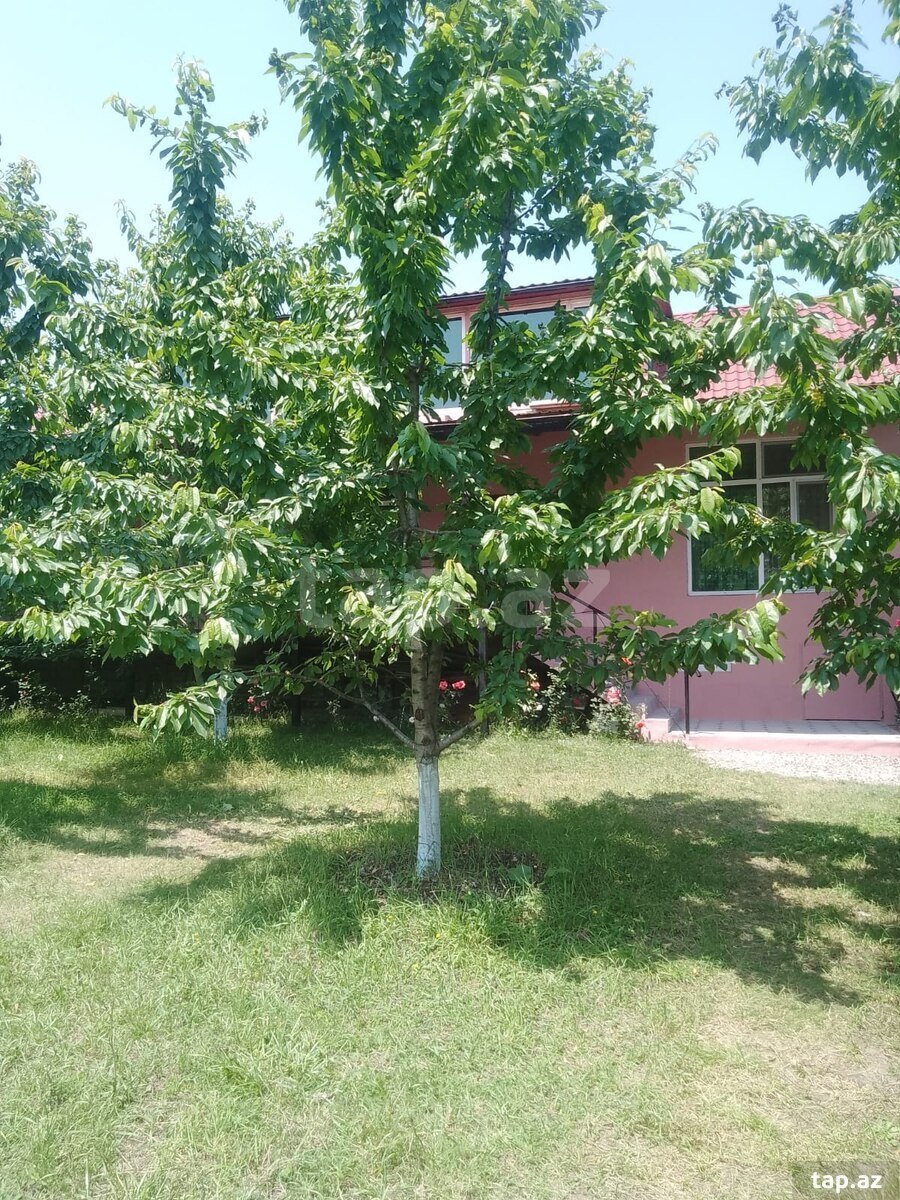 Həyət evi kirayə verilir, Quba r.