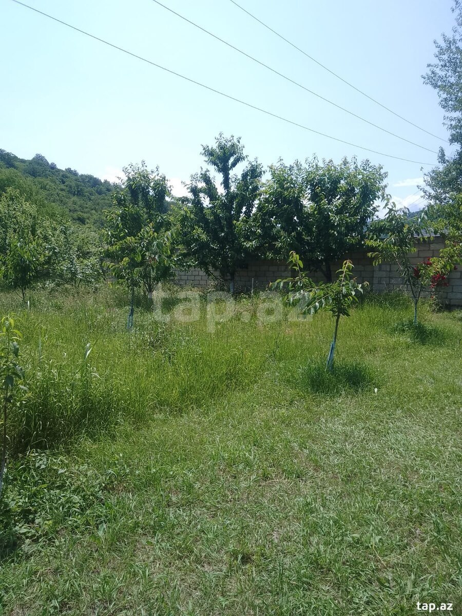 Həyət evi kirayə verilir, Quba r. (2)