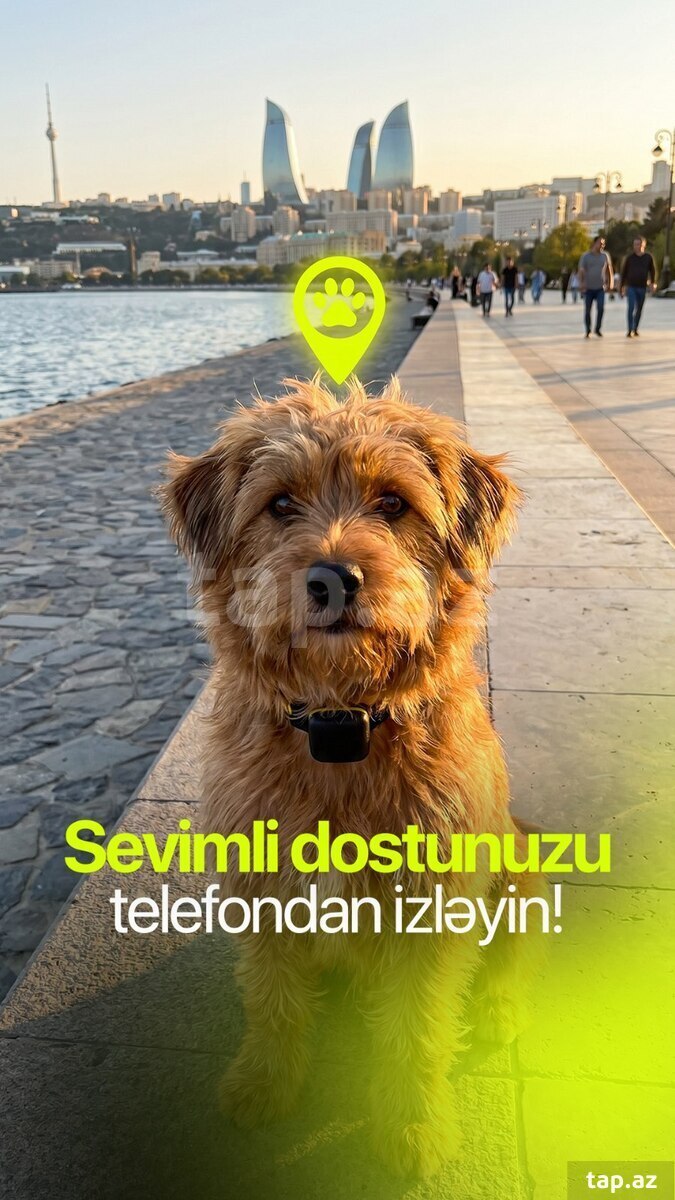 GPS izləmə cihazı (2)