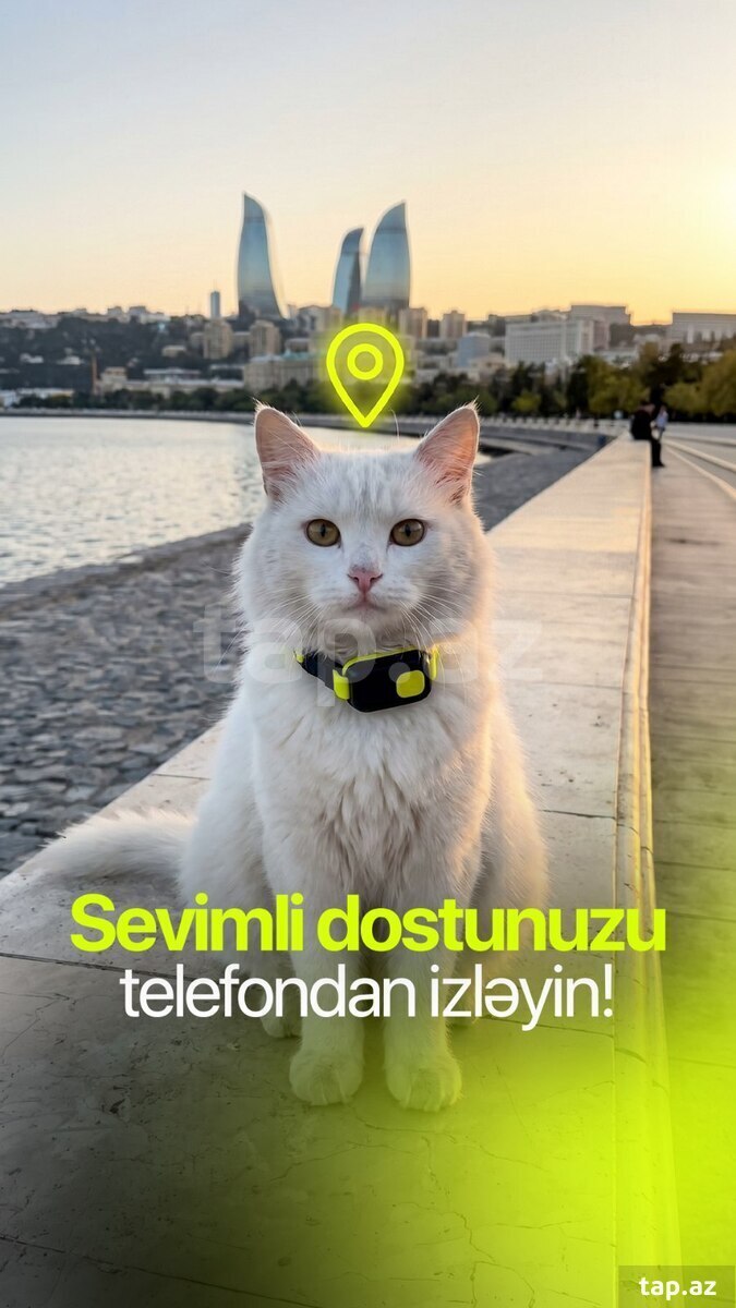 GPS izləmə cihazı