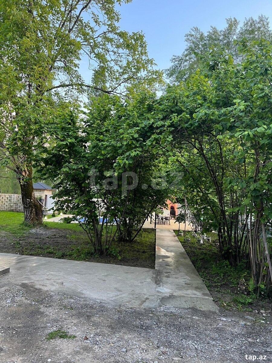 Həyət evi kirayə verilir, İsmayıllı r. (11)