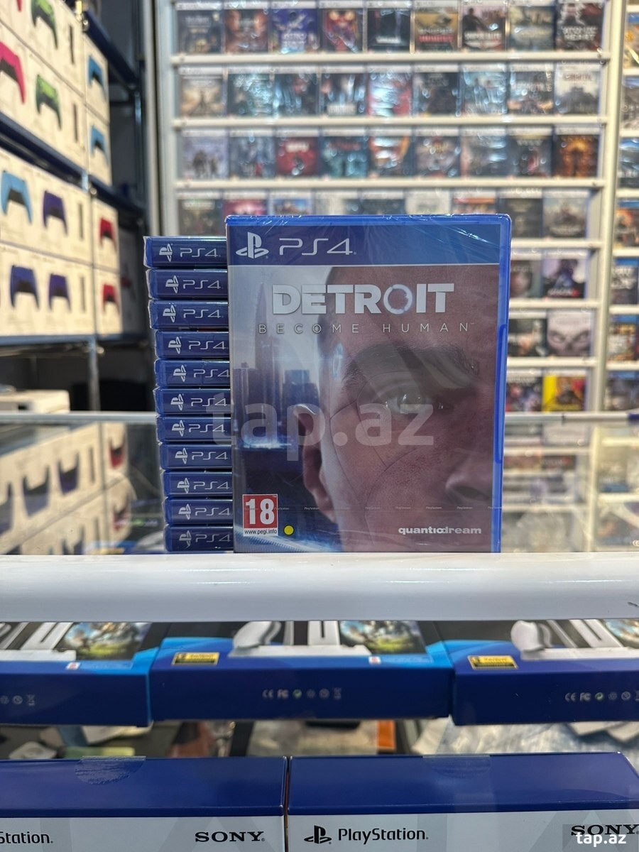 PS4 Detroit Become Human oyun diski