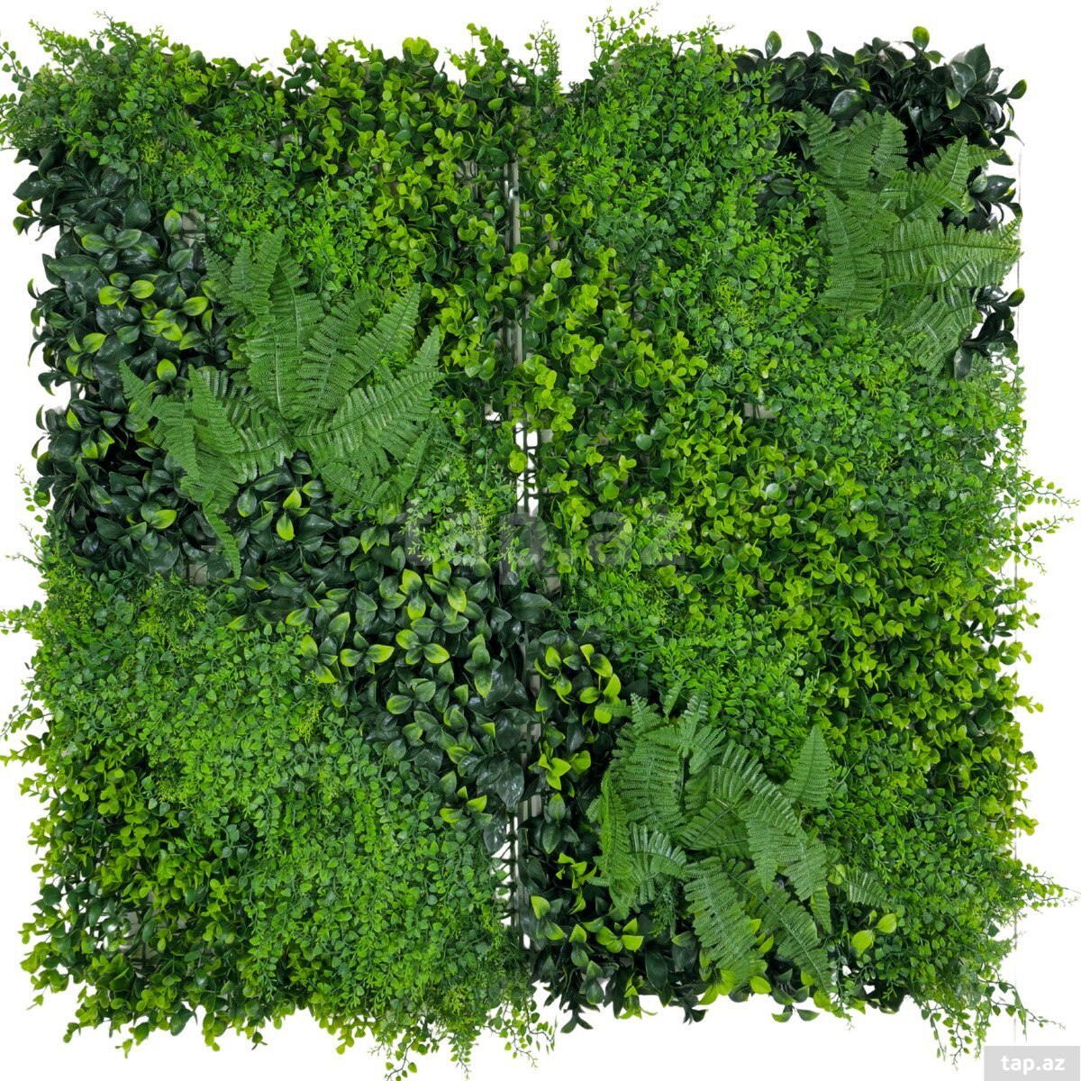 Süni yaşıllıq divar paneli 611, plastik, 100x100 sm  (3)