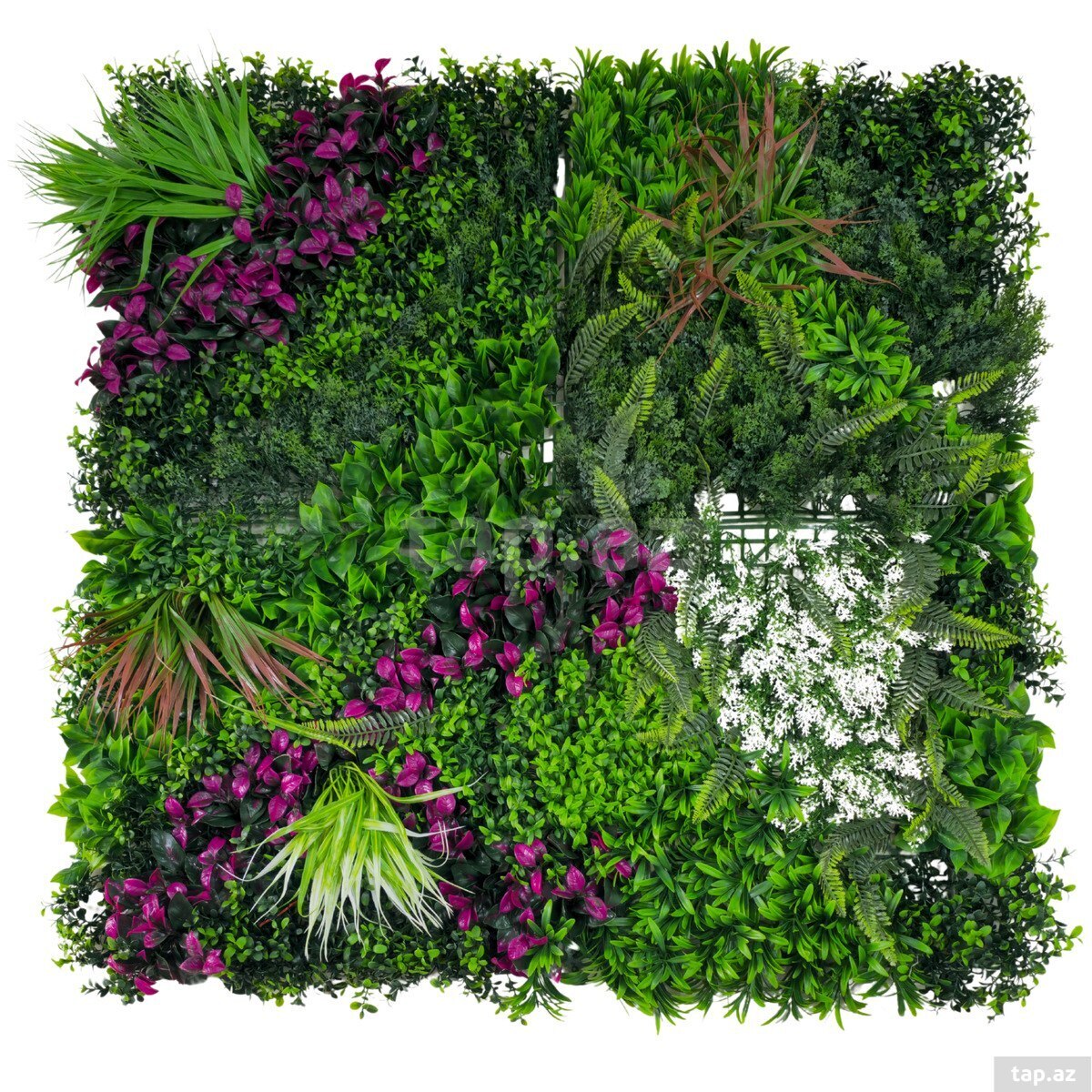 Süni yaşıllıq divar paneli 611, plastik, 100x100 sm 