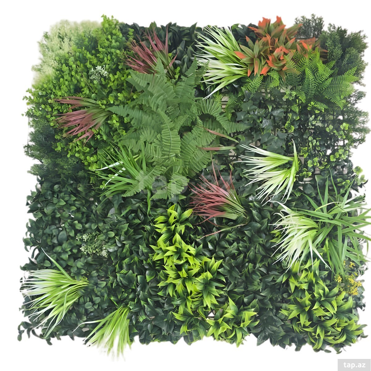 Süni yaşıllıq divar paneli 611, plastik, 100x100 sm  (8)