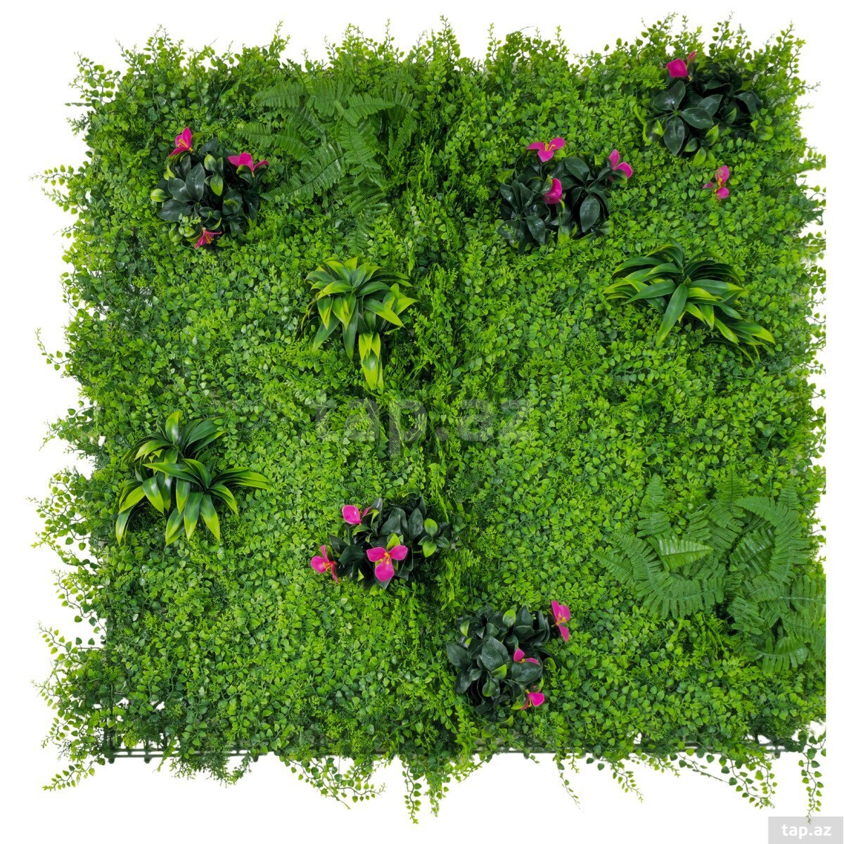 Süni yaşıllıq divar paneli 611, plastik, 100x100 sm  (6)