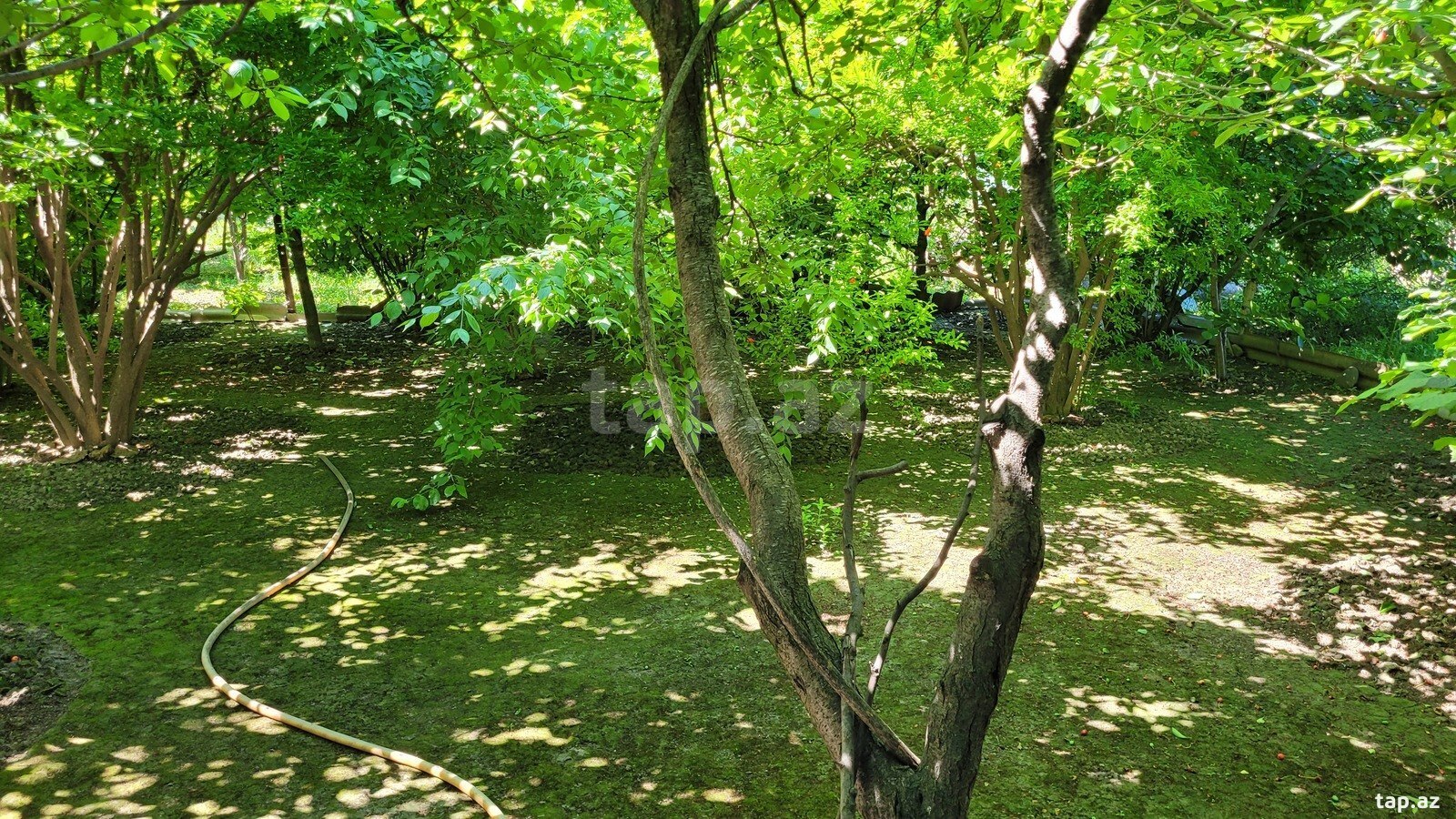Həyət evi, Xaçmaz ş.