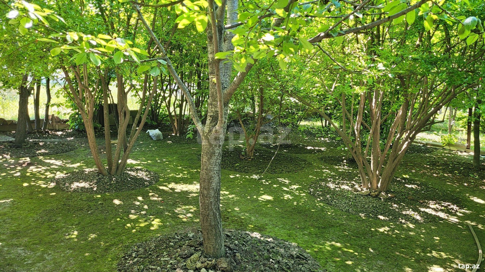Həyət evi, Xaçmaz ş.