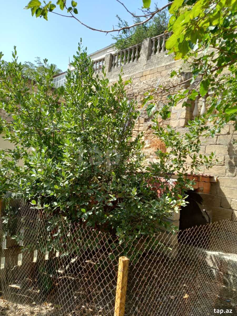 Həyət evi kirayə verilir, Bayıl qəs. (13)