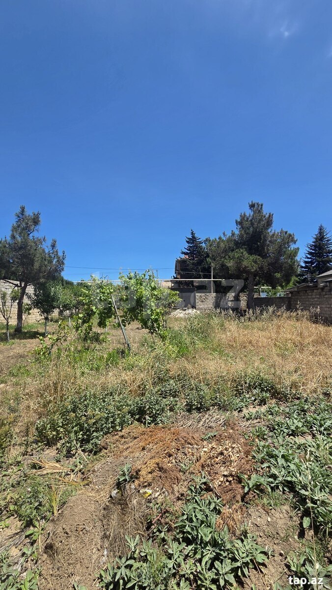 Land for sale, Mardakan, Baku
