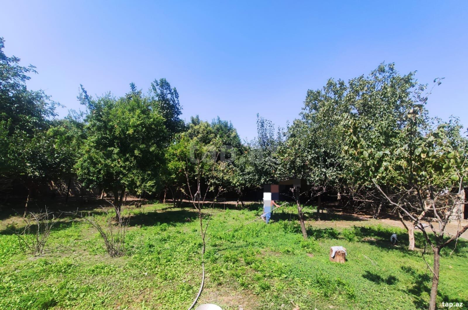 14 sot torpaq sahəsi, Daşkəsən r. (3)