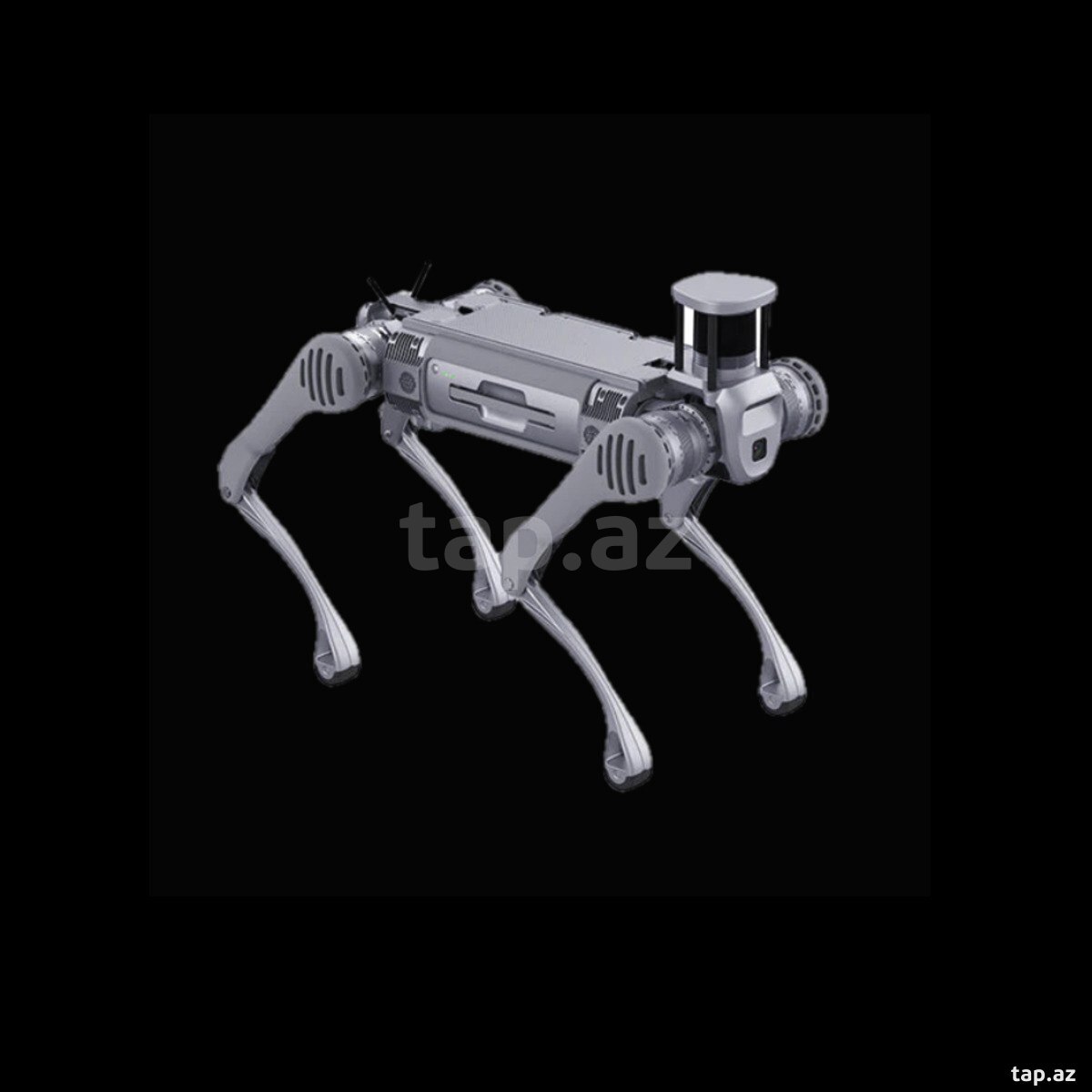 B2-W dog robot