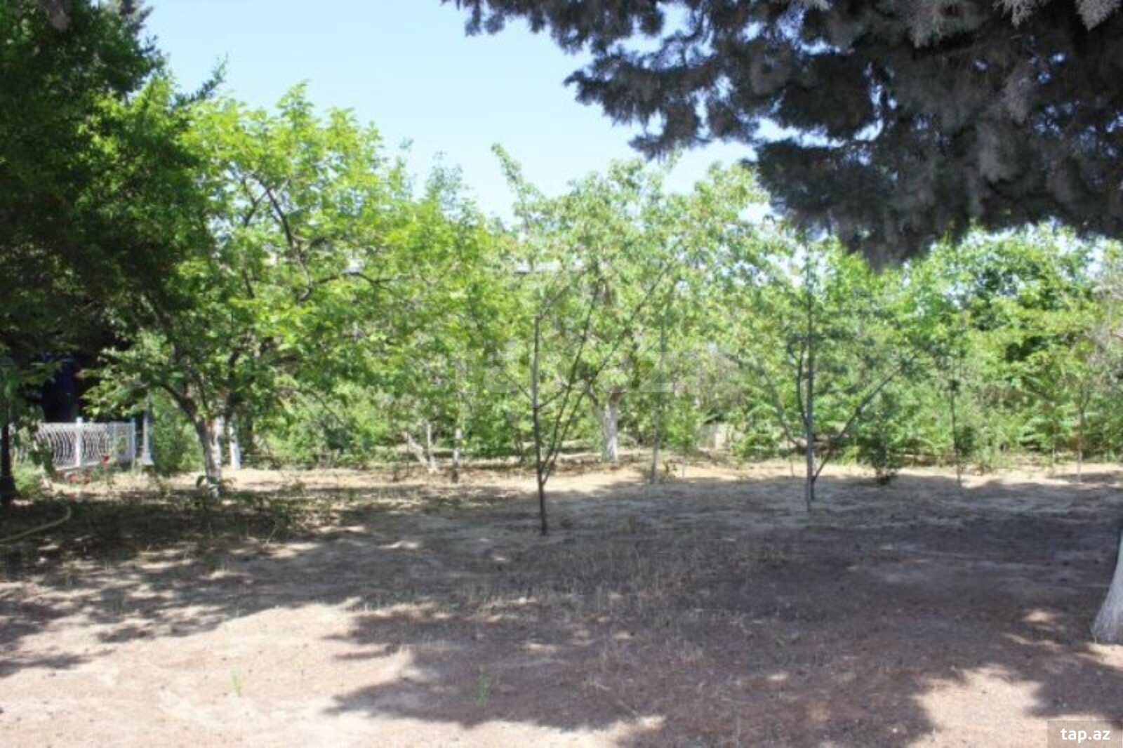 Bağ evi, Sabunçu r. (17)