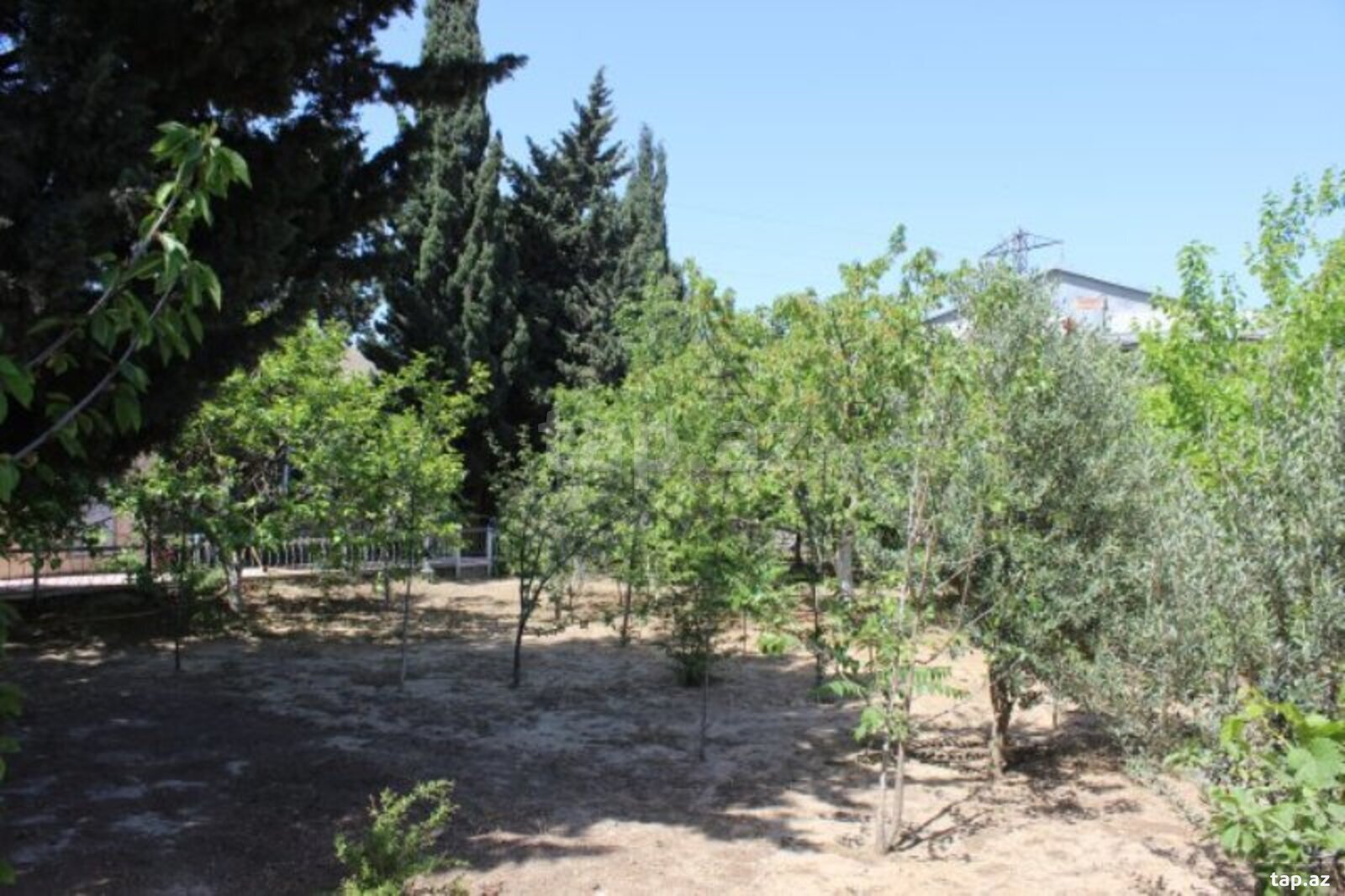 Bağ evi, Sabunçu r. (12)