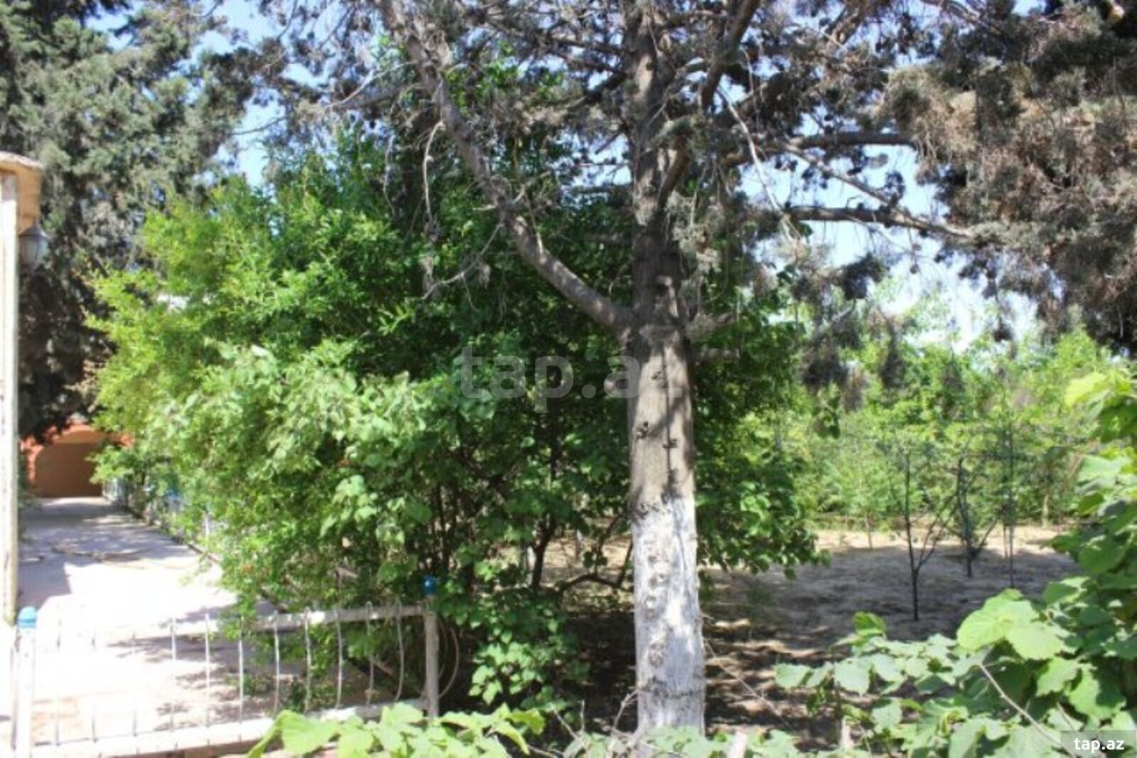 Bağ evi, Sabunçu r. (28)
