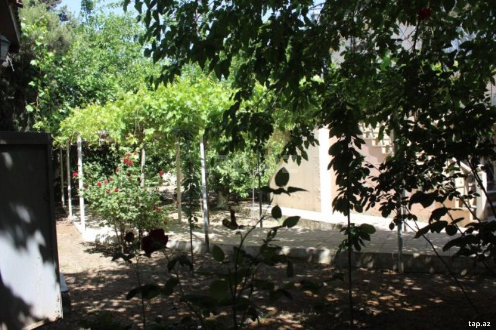 Bağ evi, Sabunçu r. (26)
