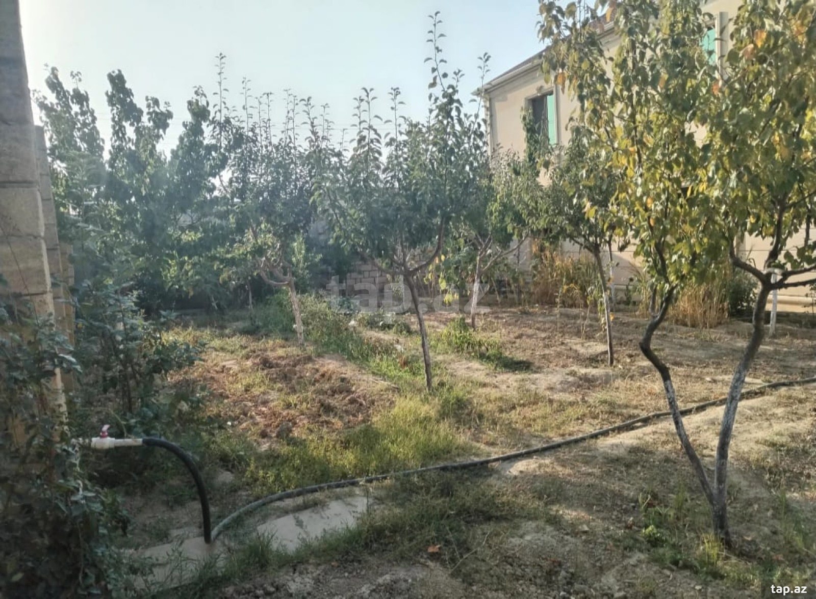 Həyət evi, Binə qəs. (21)