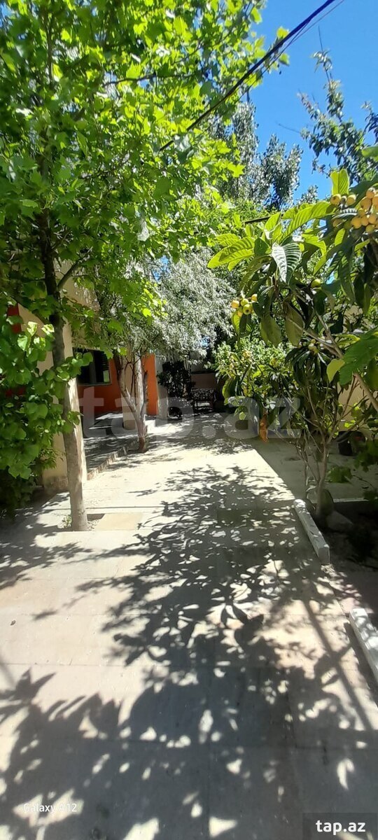 Bağ evi kirayə verilir, Pirşağı qəs. (8)