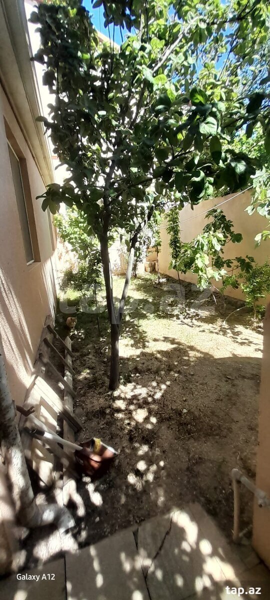 Bağ evi kirayə verilir, Pirşağı qəs. (6)