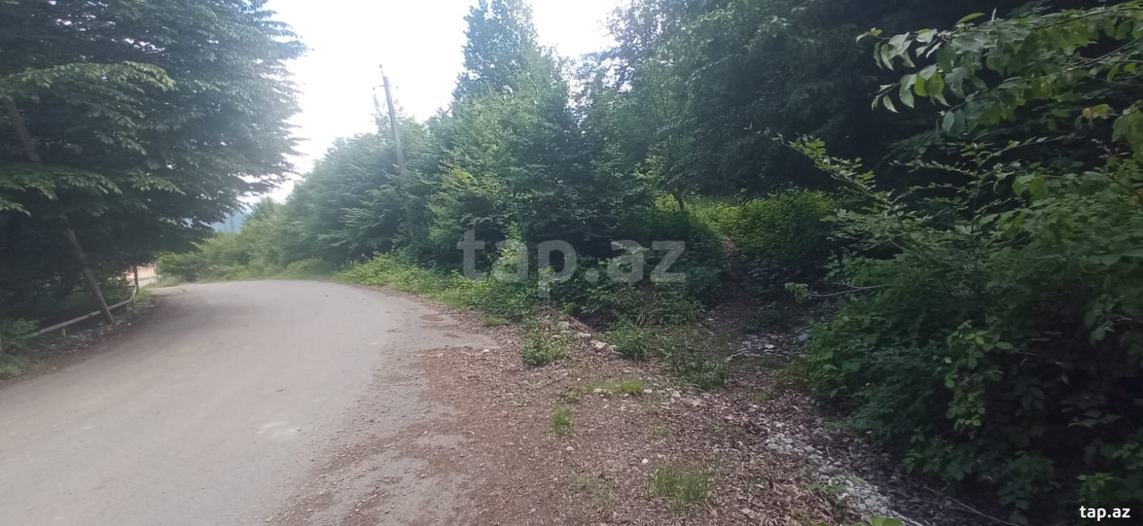 12 sot torpaq sahəsi, İsmayıllı r. (2)