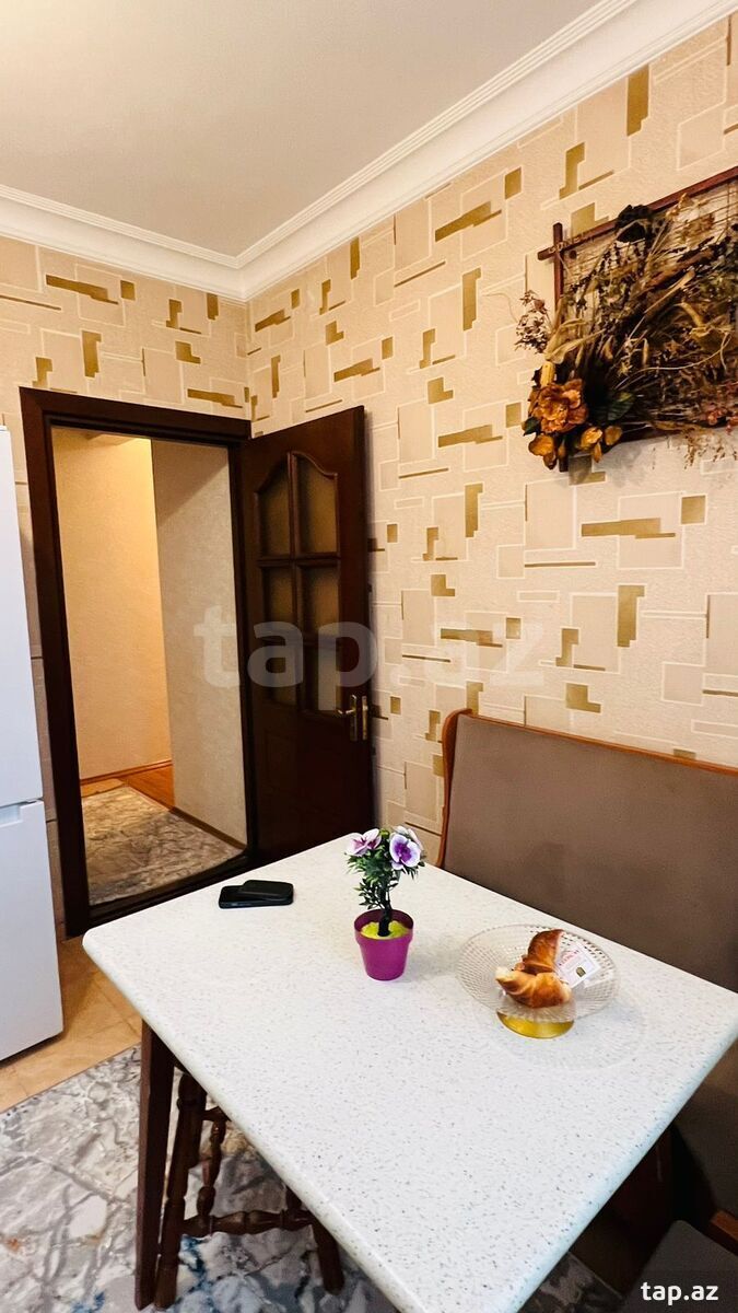 3-otaqlı yeni tikili kirayə verilir, Natiq Əliyev küç., 100 m² (17)