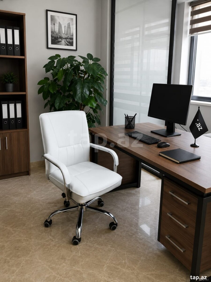 Ofis kreslosu