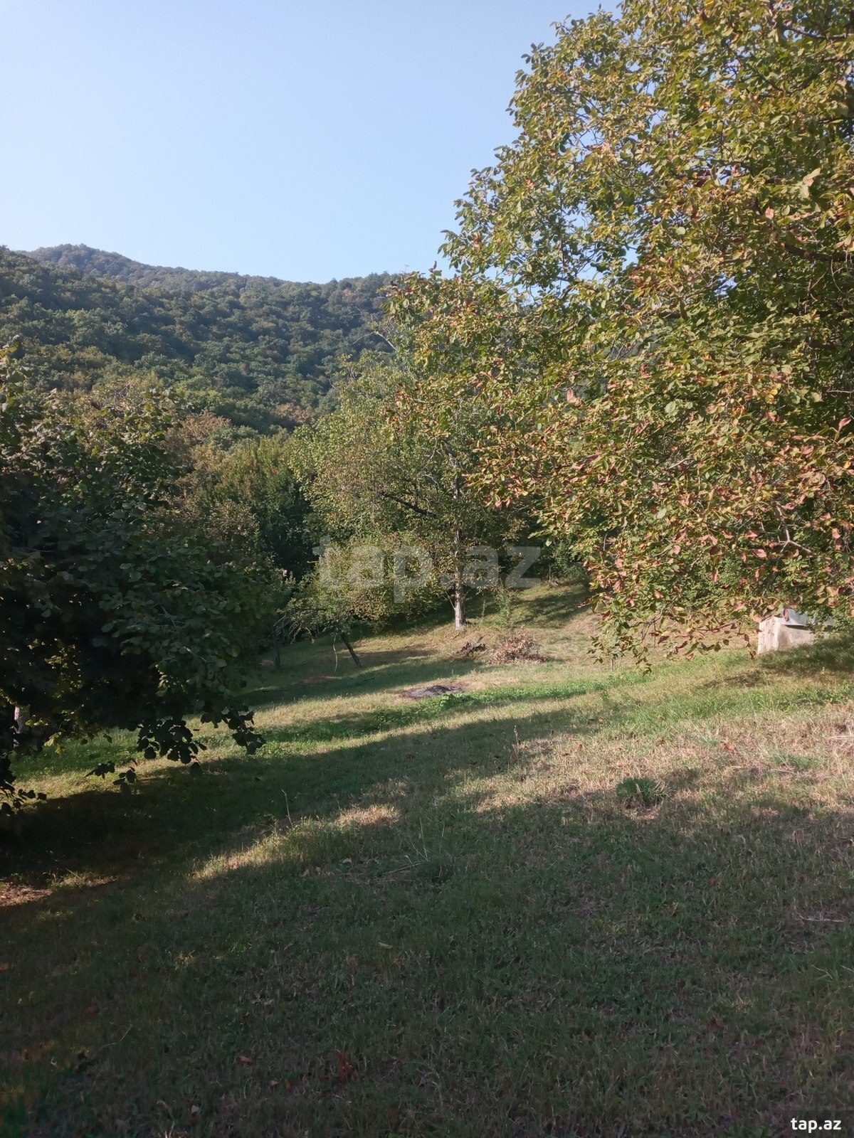 Bağ evi, Zaqatala r. (16)