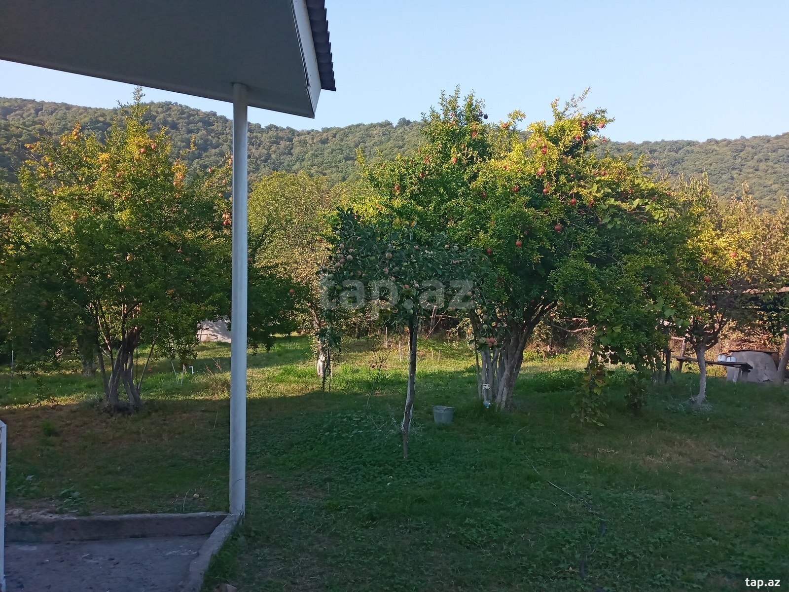 Bağ evi, Zaqatala r. (13)