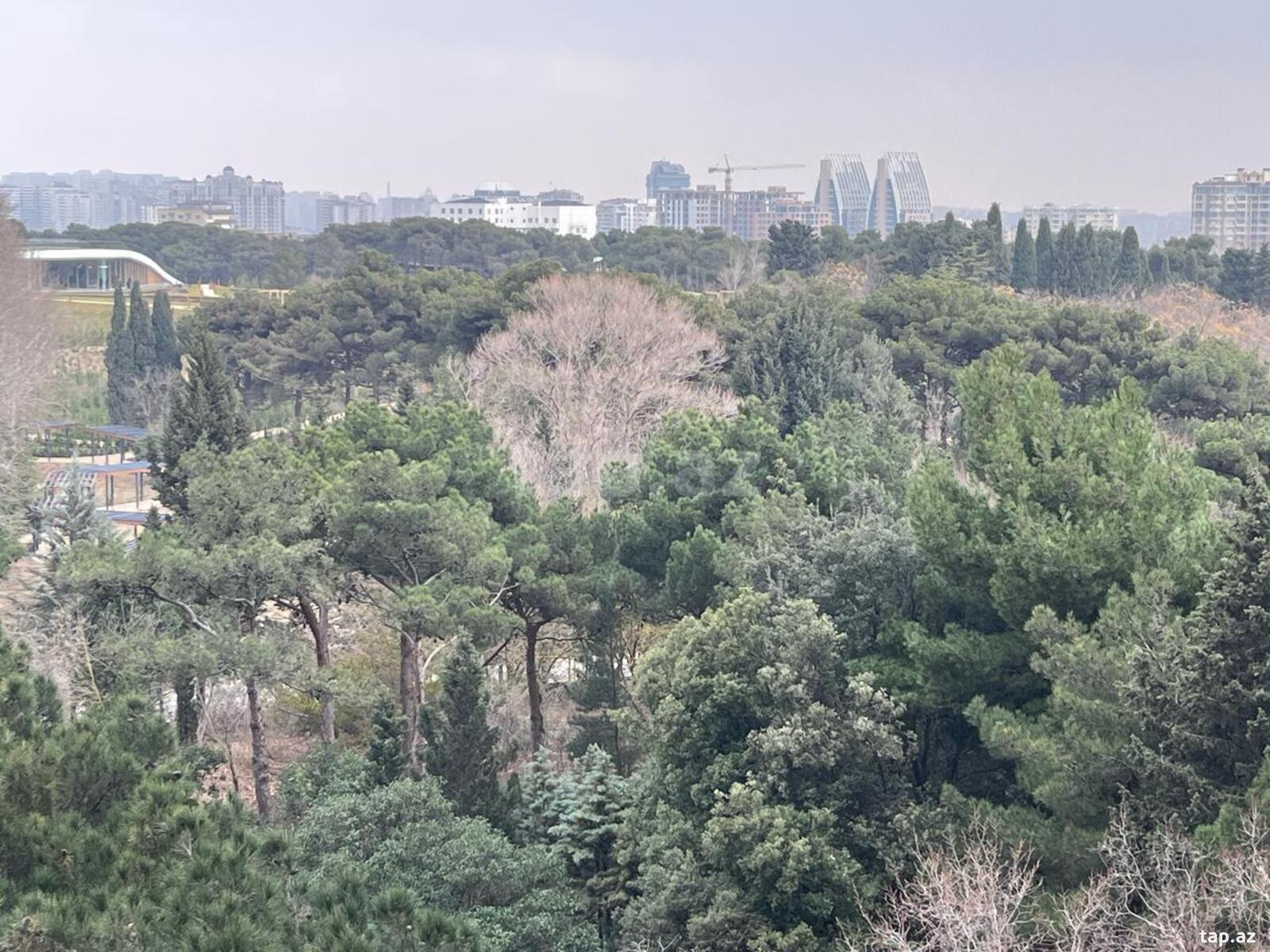 4-otaqlı yeni tikili, Badamdar qəs., 170 m² (9)