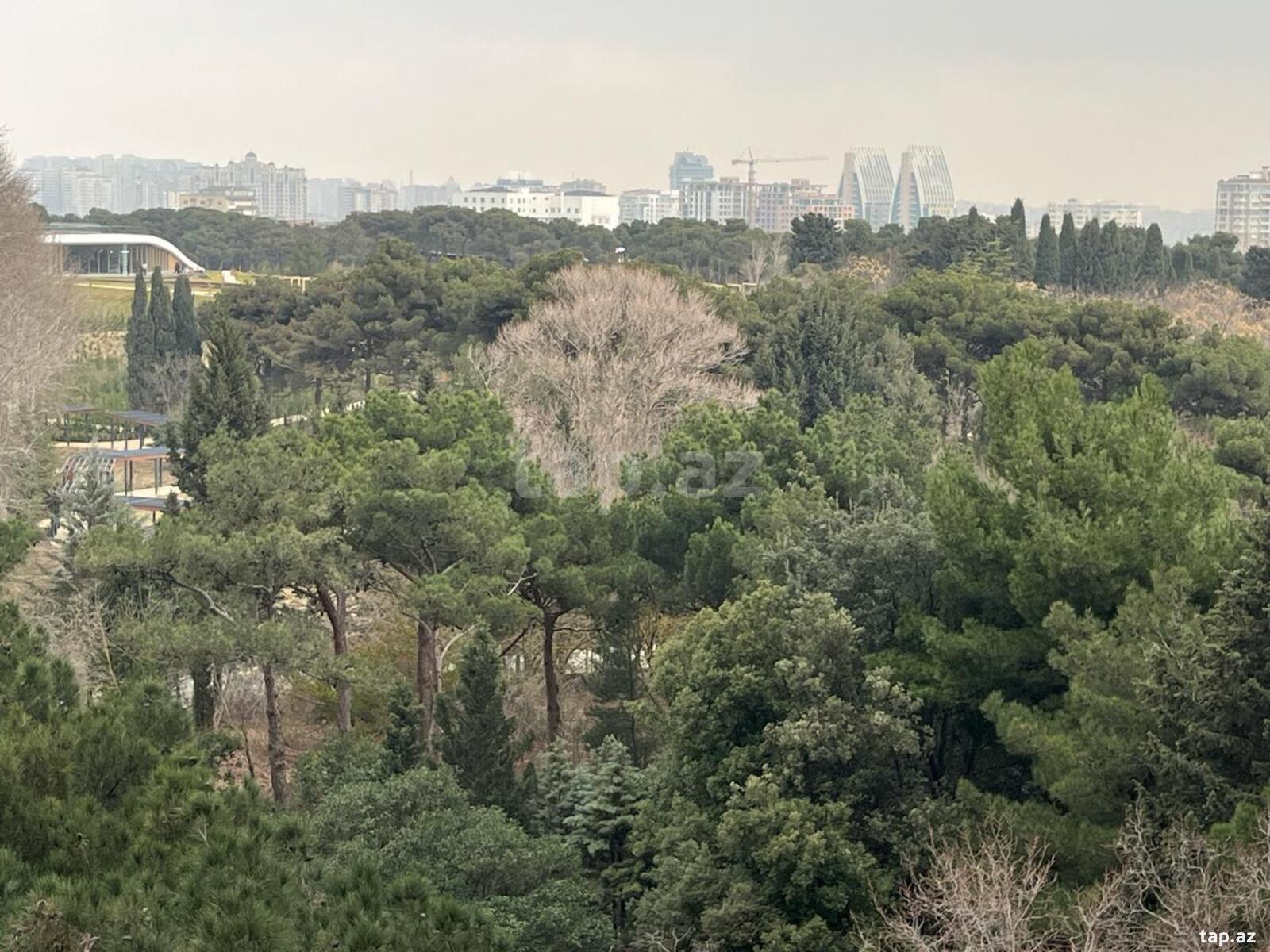 4-otaqlı yeni tikili, Badamdar qəs., 170 m² (10)