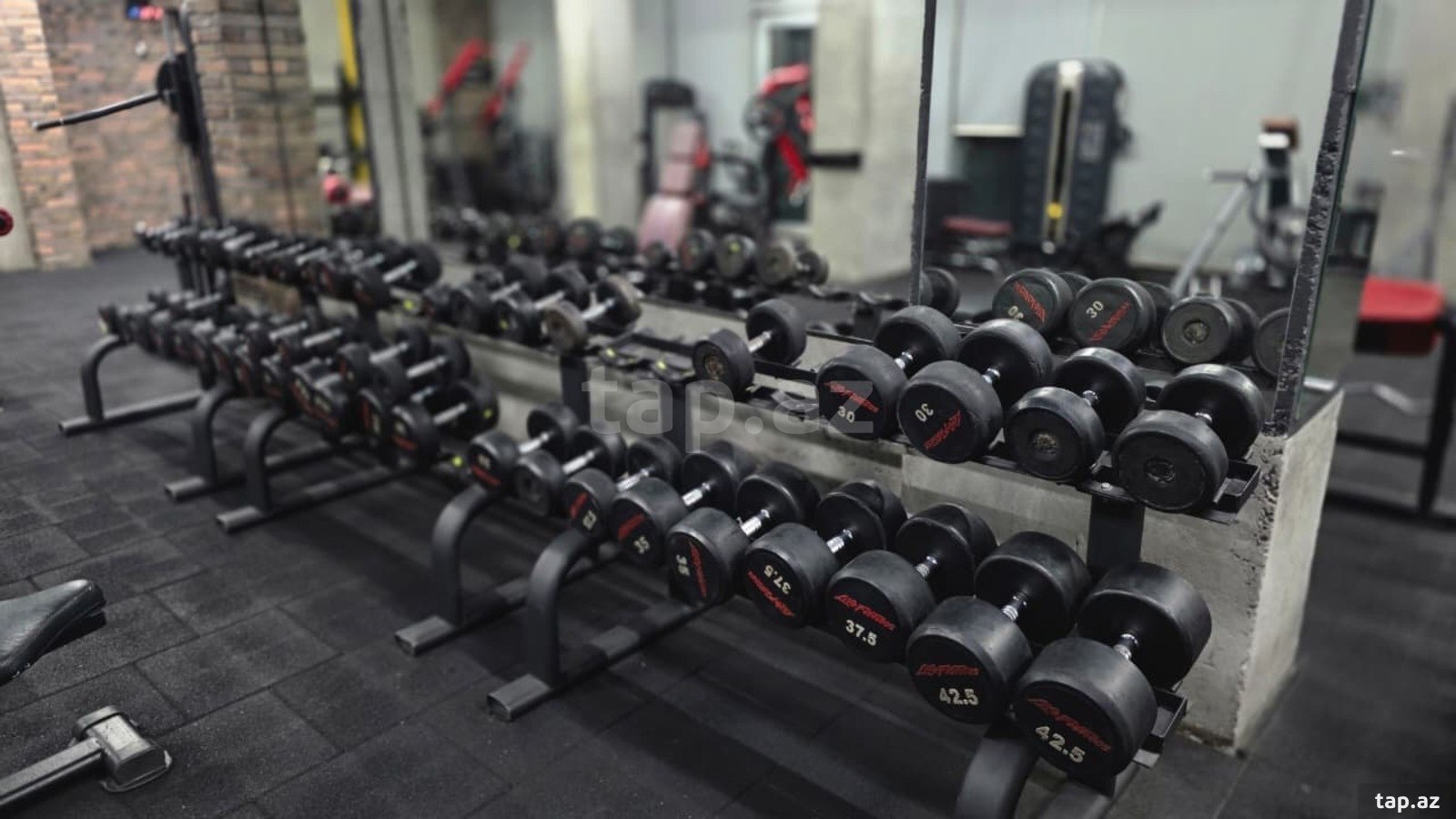Trenajor fitnes avadanlıqları (9)