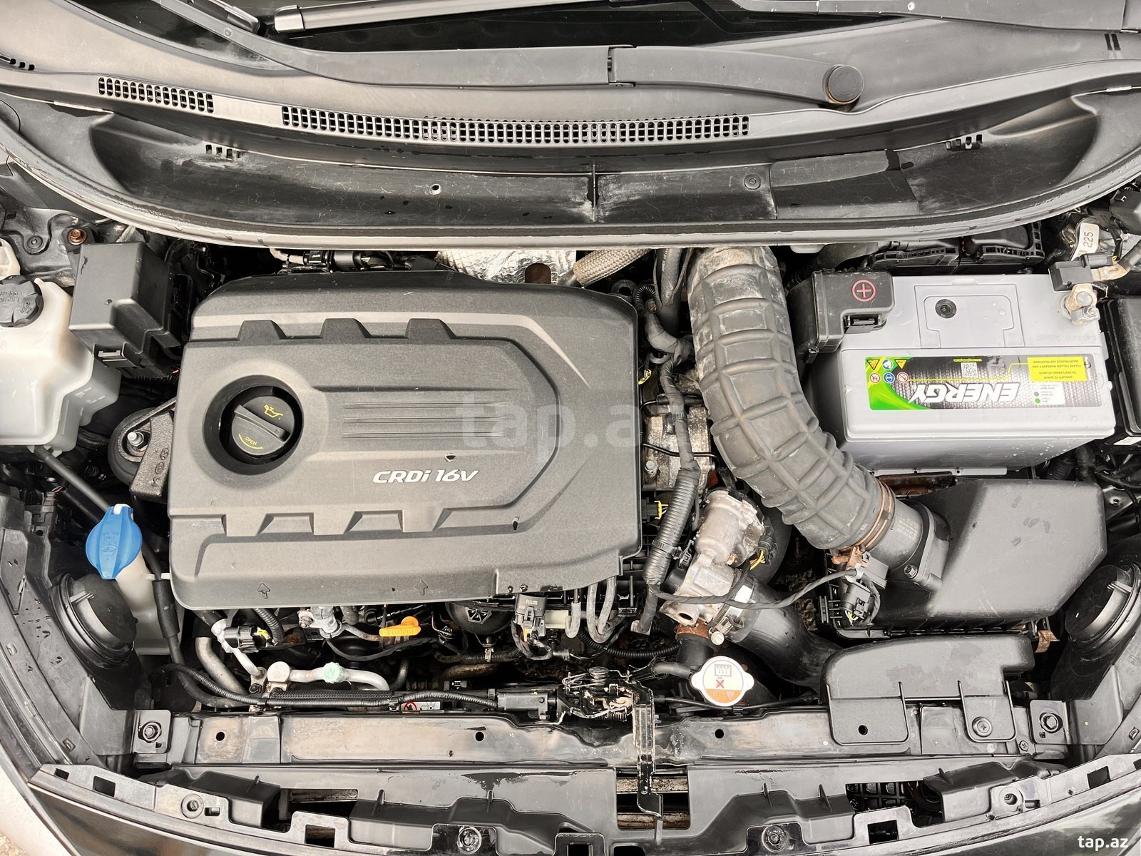 KIA Rio, 2015 il (3)