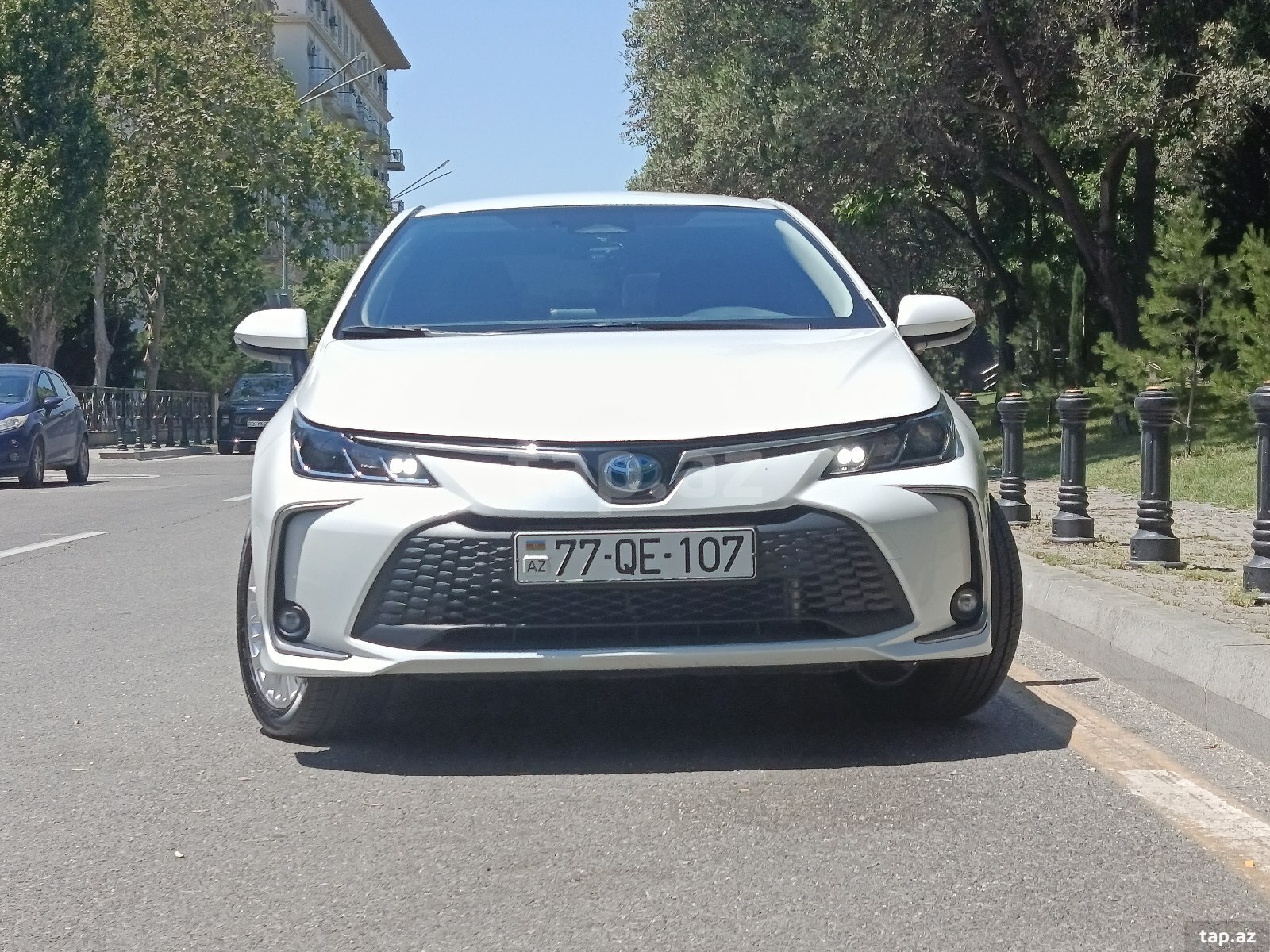 Toyota Corolla, 2024 il (4)
