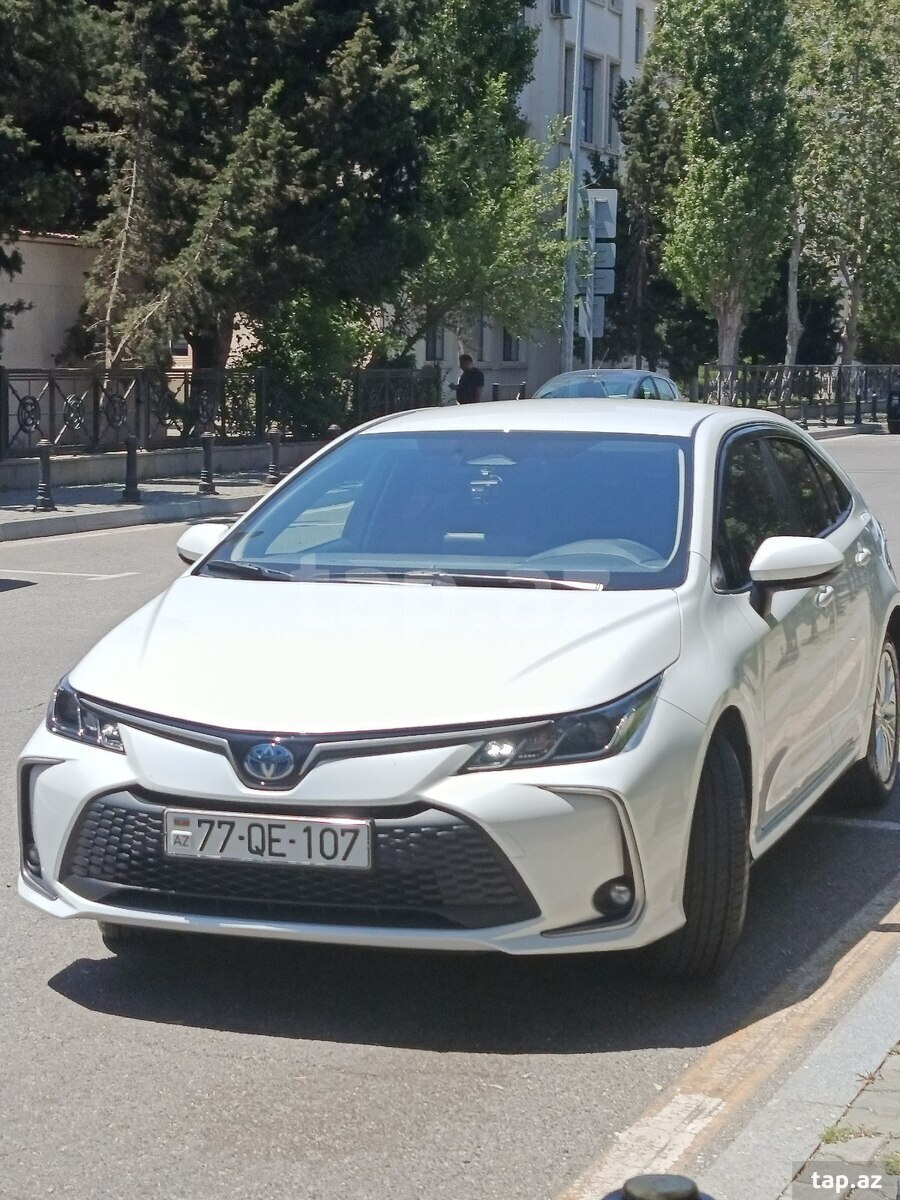 Toyota Corolla, 2024 il
